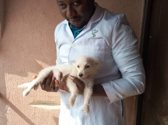 Dennis Veterinary services 